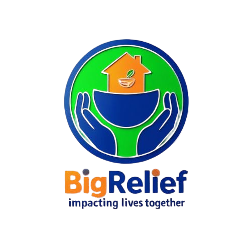 BigRelief Logo